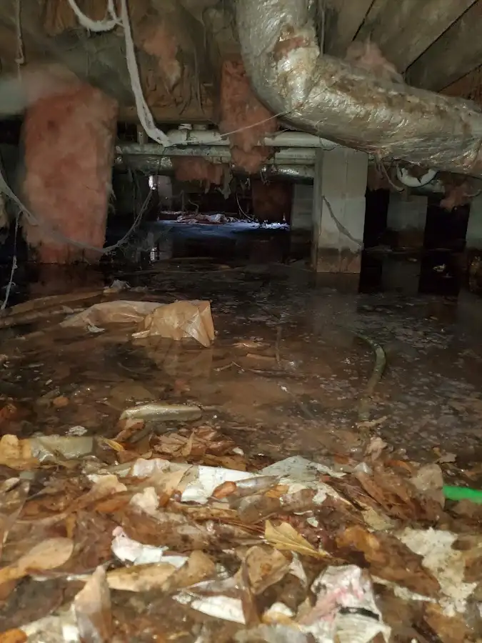 Crawl space flood assessment for Leak Detection & Repair in Jesup